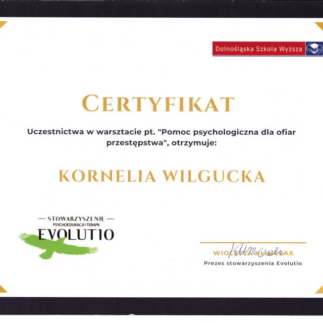 Powiększ obraz: certificate 4