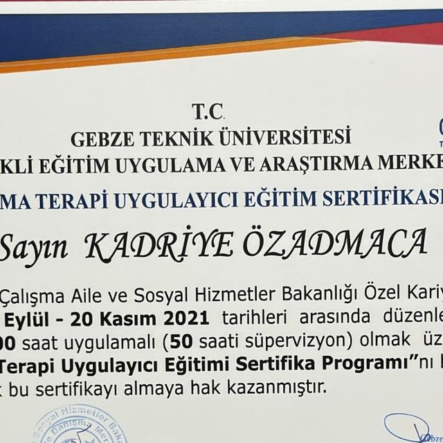 Resmi büyüt: certificate 21