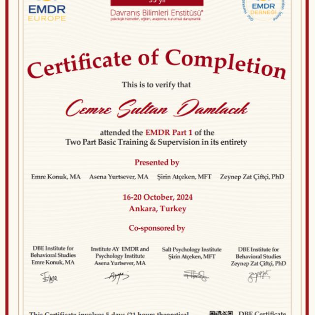 Resmi büyüt: certificate 10