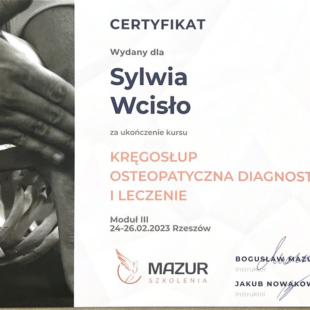 Powiększ obraz: certificate 5