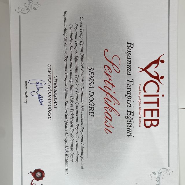 Resmi büyüt: certificate 3