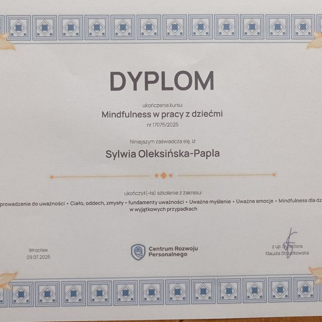 Powiększ obraz: certificate 1