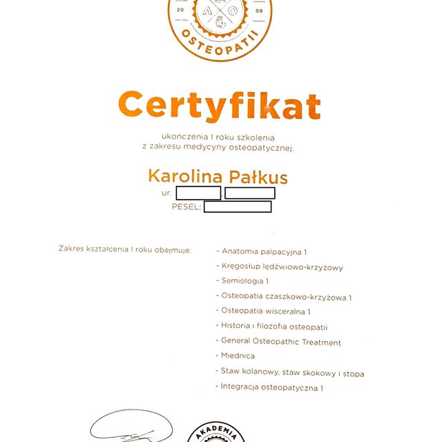 Powiększ obraz: certificate 1