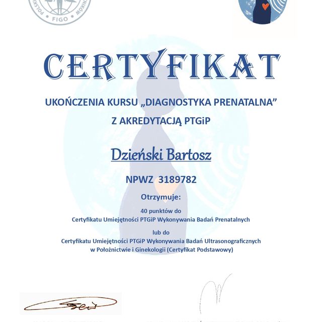 Powiększ obraz: certificate 1