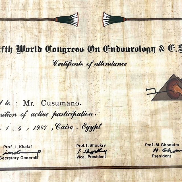 Ingrandire l'immagine: certificate 3