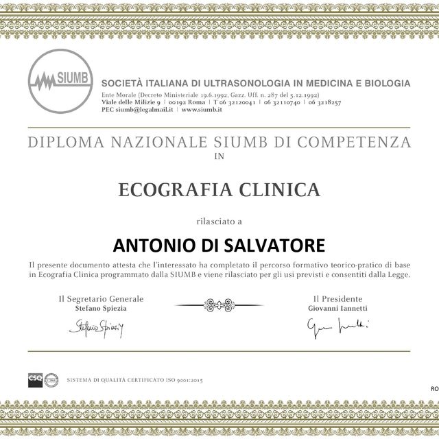 Ingrandire l'immagine: certificate 2