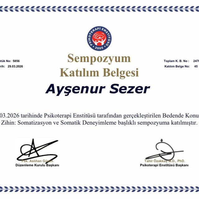Resmi büyüt: certificate 1
