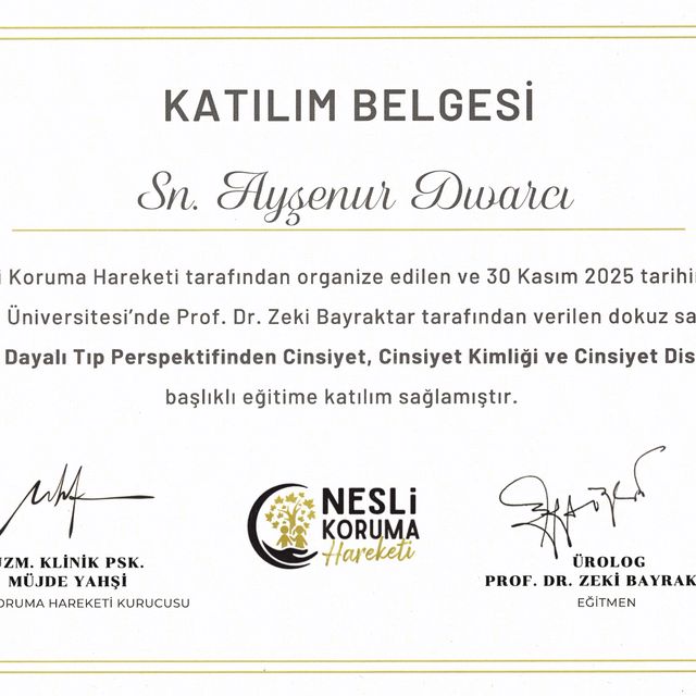 Resmi büyüt: certificate 1