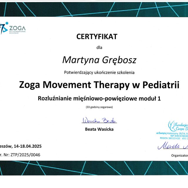 Powiększ obraz: certificate 1