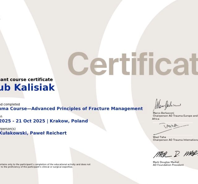 Powiększ obraz: certificate 1