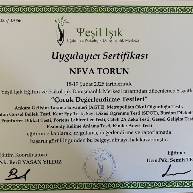 Resmi büyüt: certificate 3