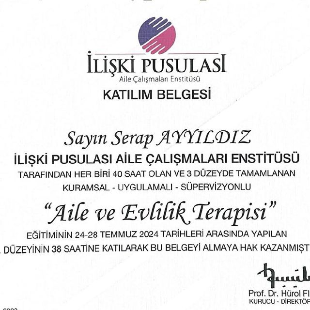 Resmi büyüt: certificate 1