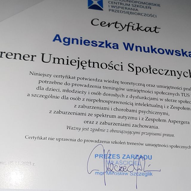 Powiększ obraz: certificate 9