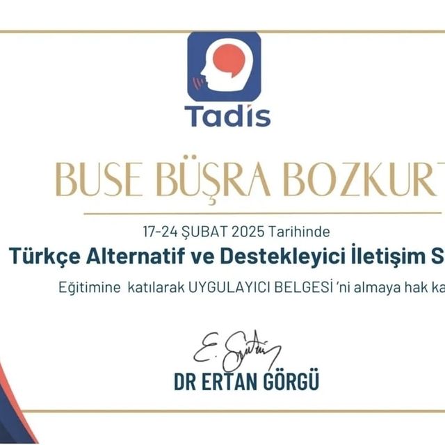 Resmi büyüt: certificate 2