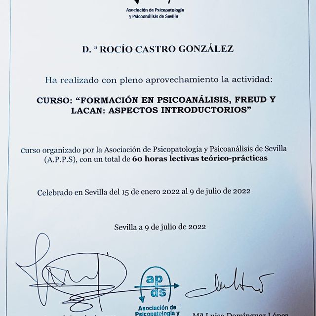 Acercar imagen: certificate 4