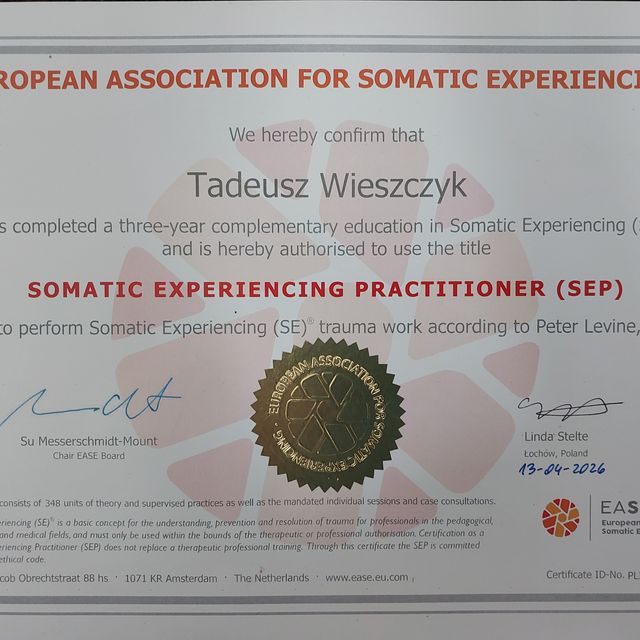 Powiększ obraz: certificate 1
