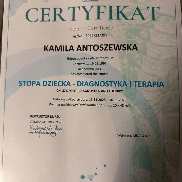 Powiększ obraz: certificate 1