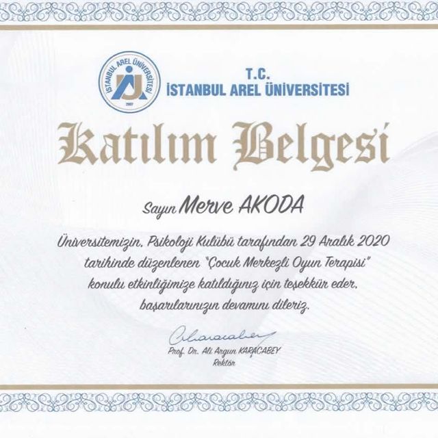 Resmi büyüt: certificate 24