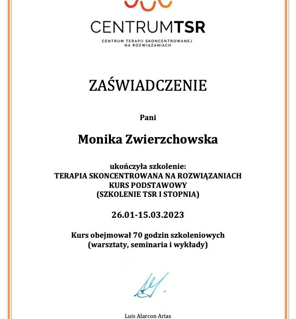 Powiększ obraz: certificate 3