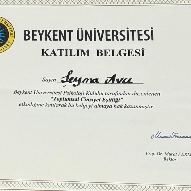 Resmi büyüt: certificate 22