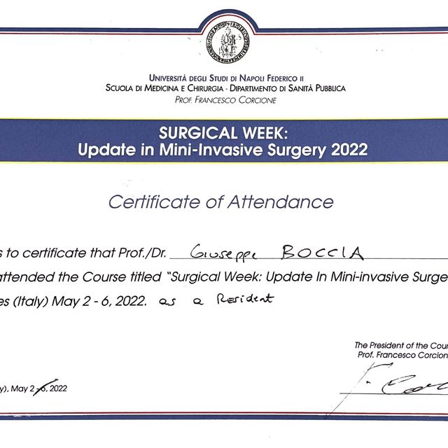 Ingrandire l'immagine: certificate 6