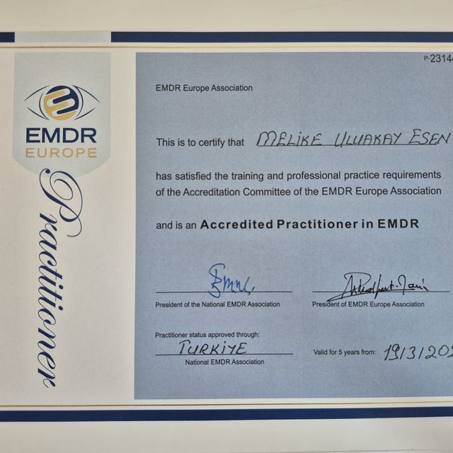 Resmi büyüt: certificate 1