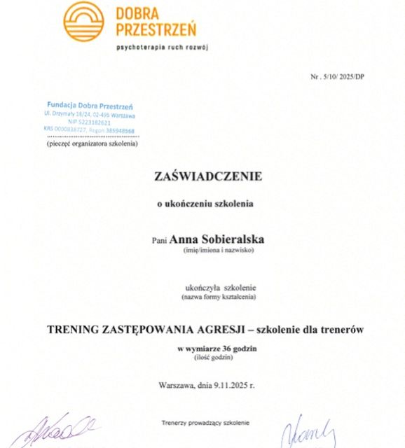 Powiększ obraz: certificate 1