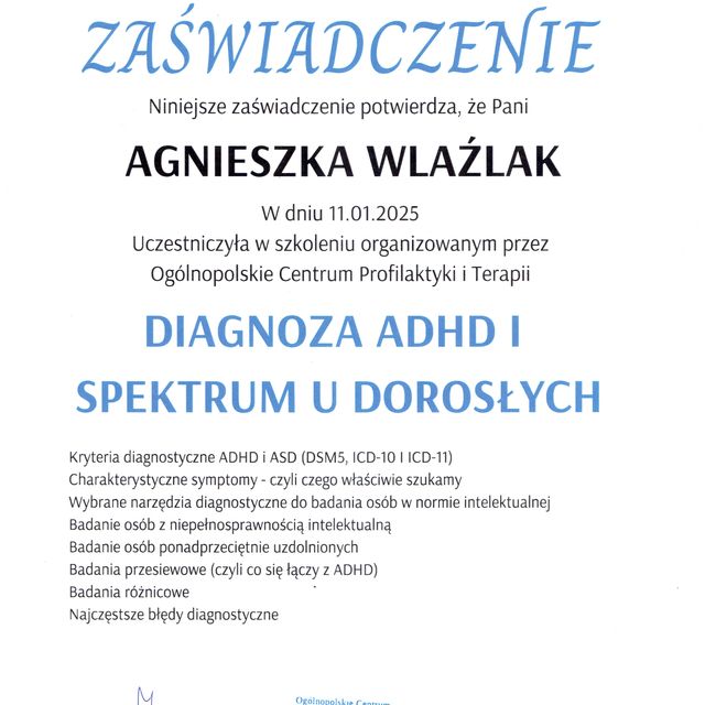 Powiększ obraz: certificate 1