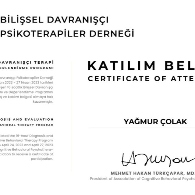 Resmi büyüt: certificate 2