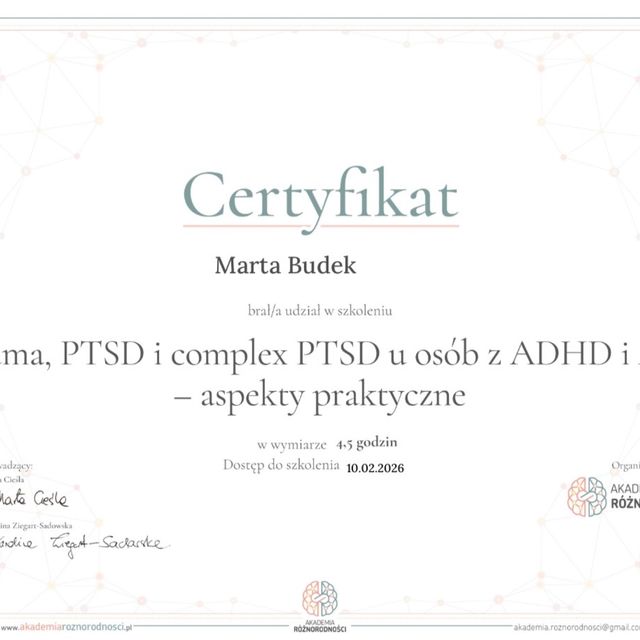 Powiększ obraz: certificate 13