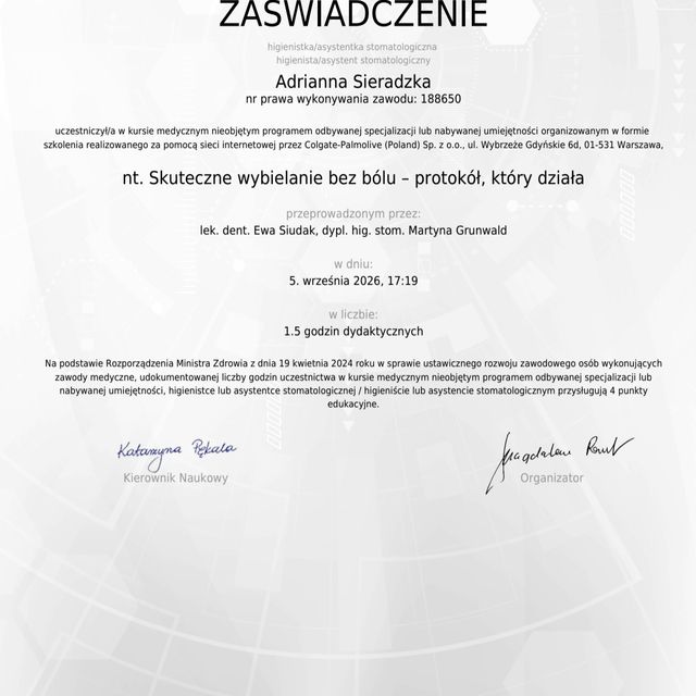Powiększ obraz: certificate 2
