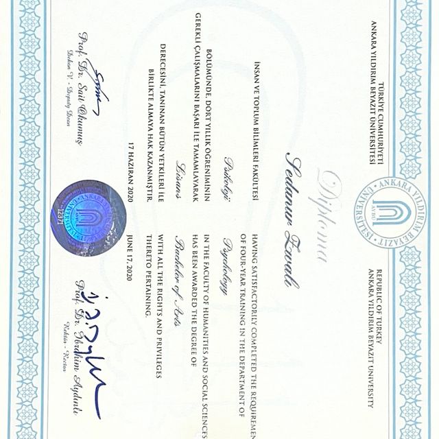 Resmi büyüt: certificate 2