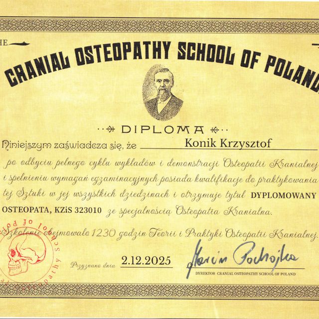 Powiększ obraz: certificate 1