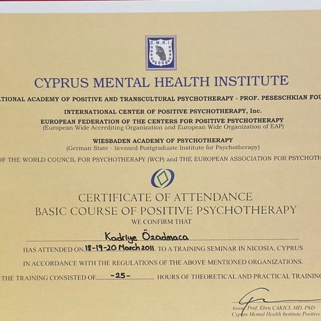 Resmi büyüt: certificate 55