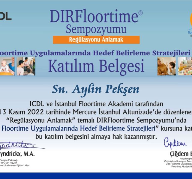 Resmi büyüt: certificate 5