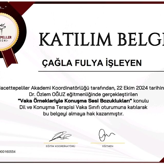 Resmi büyüt: certificate 13