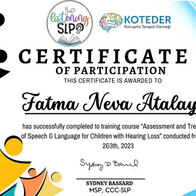 Resmi büyüt: certificate 4