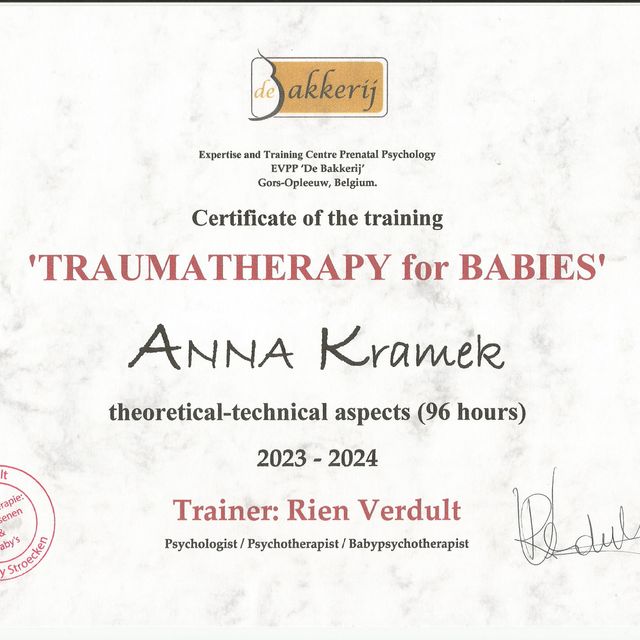 Powiększ obraz: certificate 4