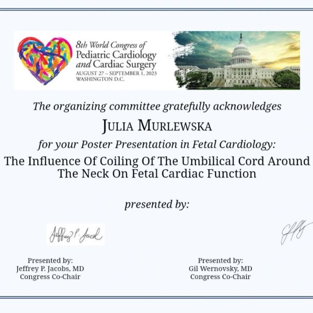 Powiększ obraz: certificate 22