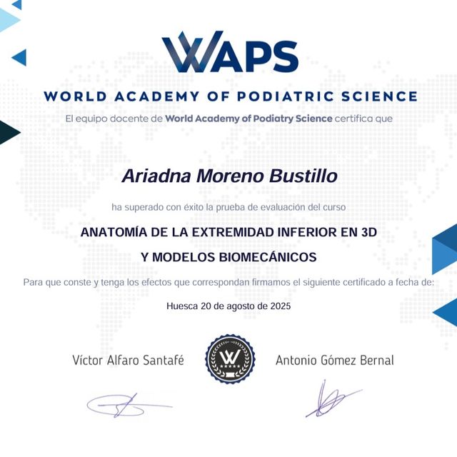 Acercar imagen: certificate 3
