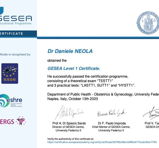 Ingrandire l'immagine: certificate 2