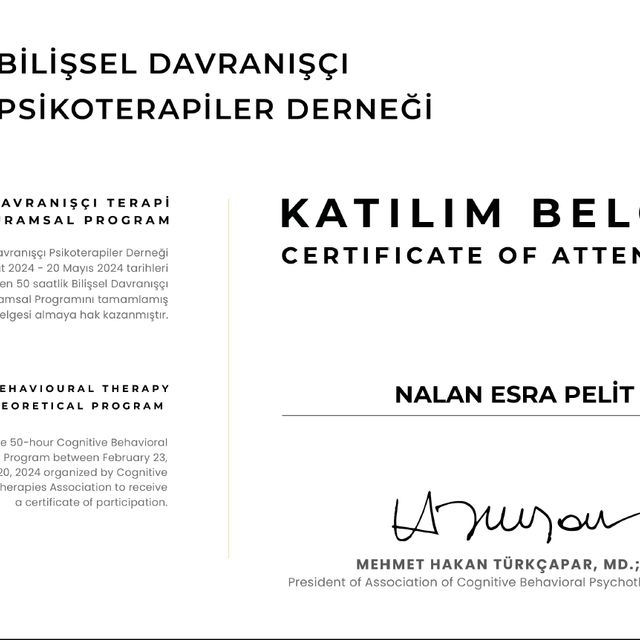 Resmi büyüt: certificate 3