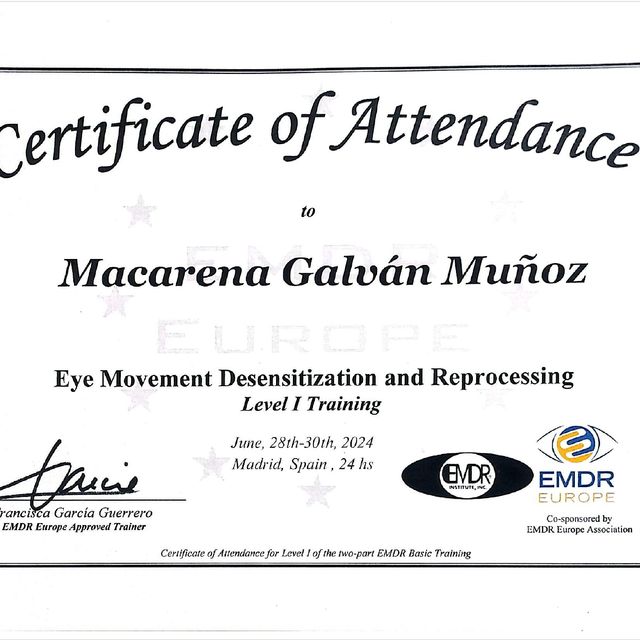 Acercar imagen: certificate 4