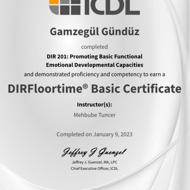 Resmi büyüt: certificate 8