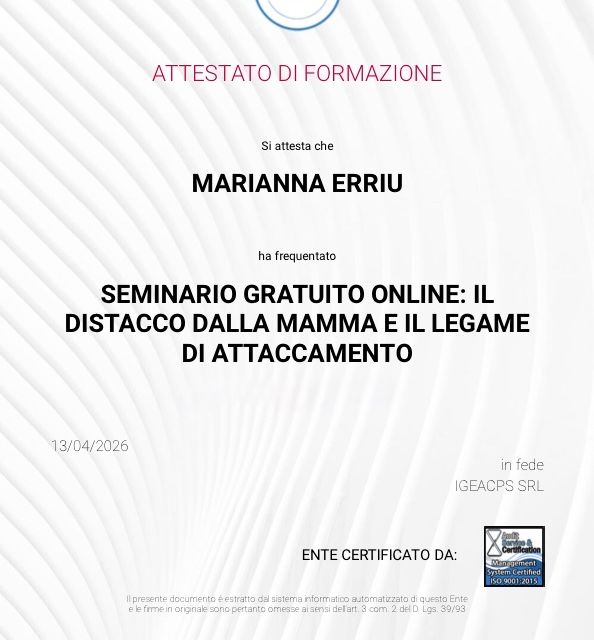 Ingrandire l'immagine: certificate 3