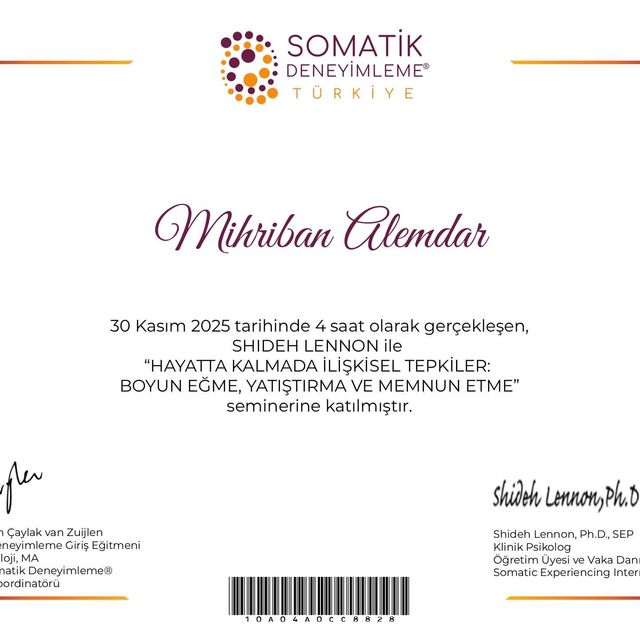 Resmi büyüt: certificate 9