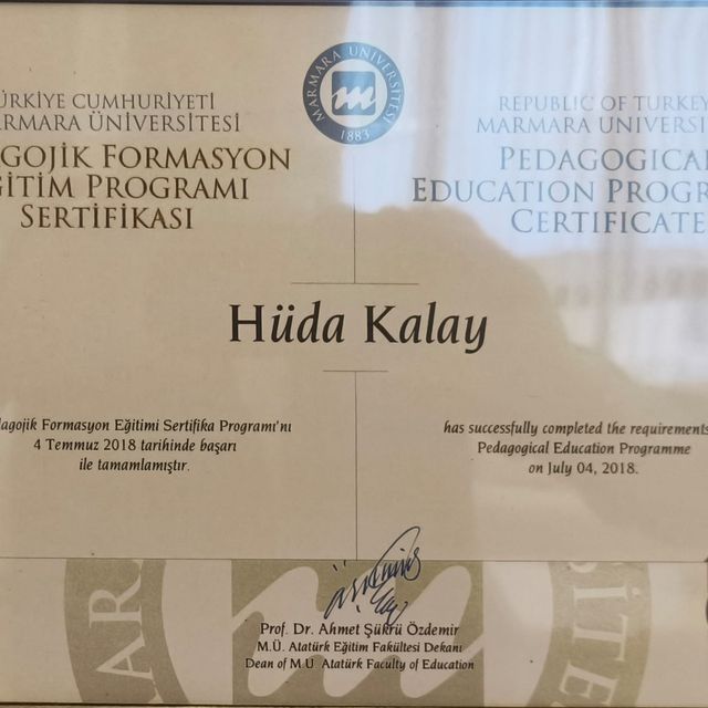 Resmi büyüt: certificate 4