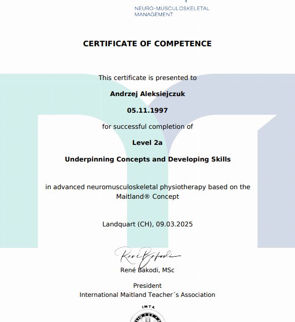 Powiększ obraz: certificate 2