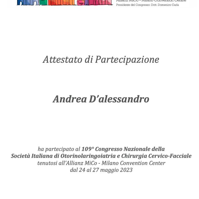 Ingrandire l'immagine: certificate 2