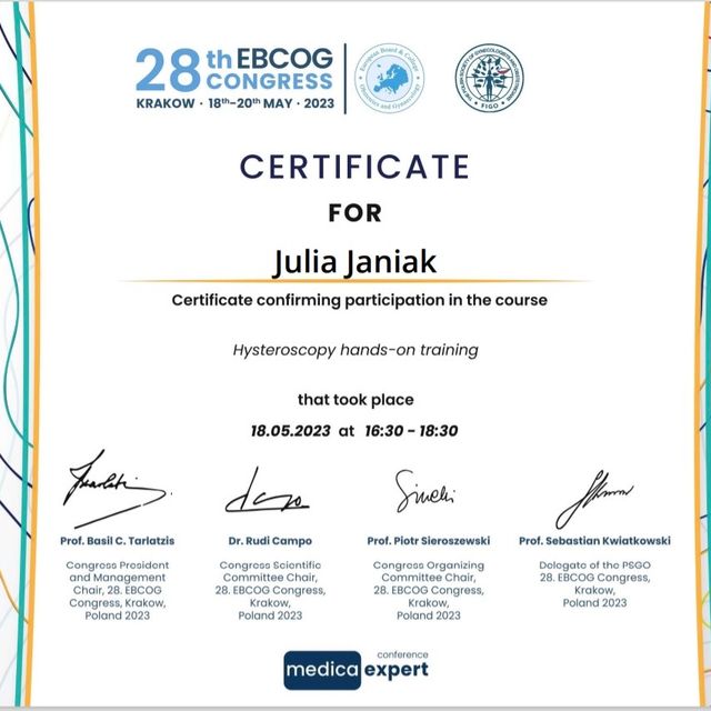 Powiększ obraz: certificate 4